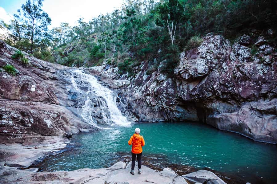 Gold Coast: Hop on Hop off Bus to Tamborine Mountain - Wineries, spirits, and craft beer