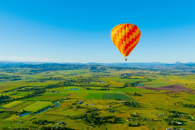 Gold Coast Hot Air Balloon + Winery Breakfast + Return Transfers - Wine tasting at the cellar door