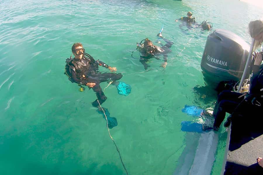 Gold Coast: Introductory SCUBA Diving Experience - A first underwater session made for beginners