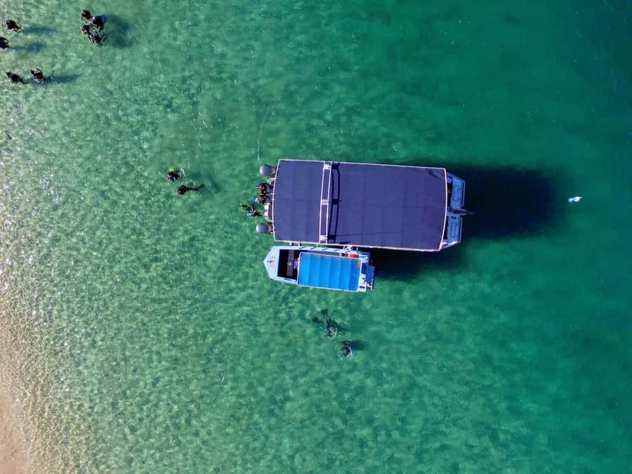 Gold Coast: Introductory SCUBA Diving Experience - What the $91 price really covers