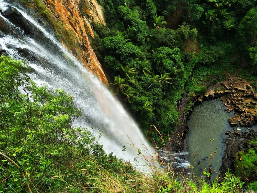 Gold Coast: Kangaroos, Rainforest & Waterfalls Experience - Why this Gold Coast day trip is different