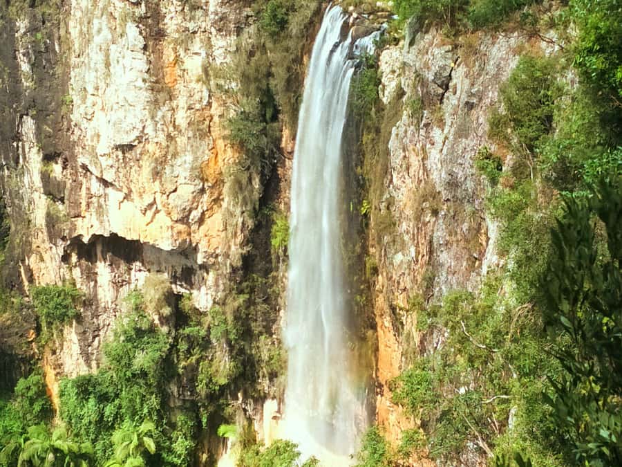 Gold Coast: Kangaroos, Rainforest & Waterfalls Experience - How much walking should you expect?