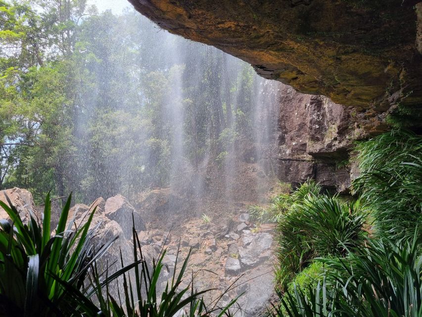Gold Coast: Kangaroos, Rainforest & Waterfalls Experience - What the guiding adds