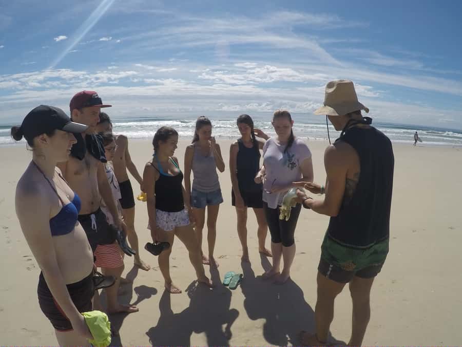 Gold Coast: Kayaking and Snorkeling Guided Tour - Is the $53 Price Good Value?