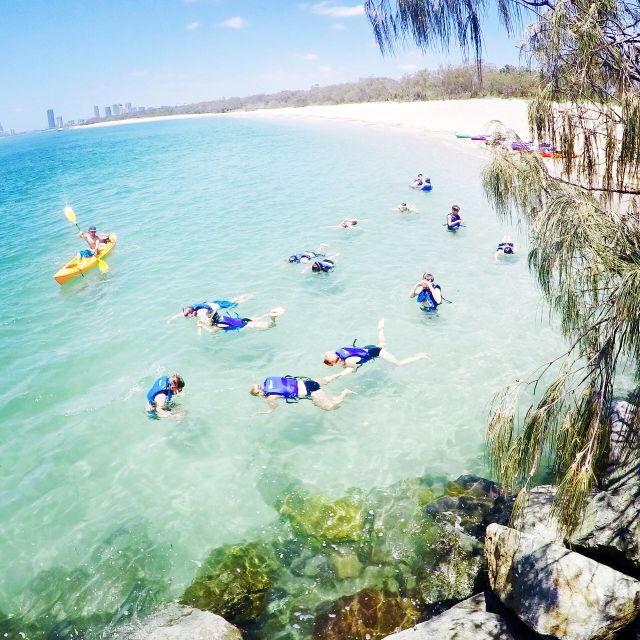 Gold Coast: Kayaking and Snorkeling Guided Tour - What to Bring for Comfort and Safety