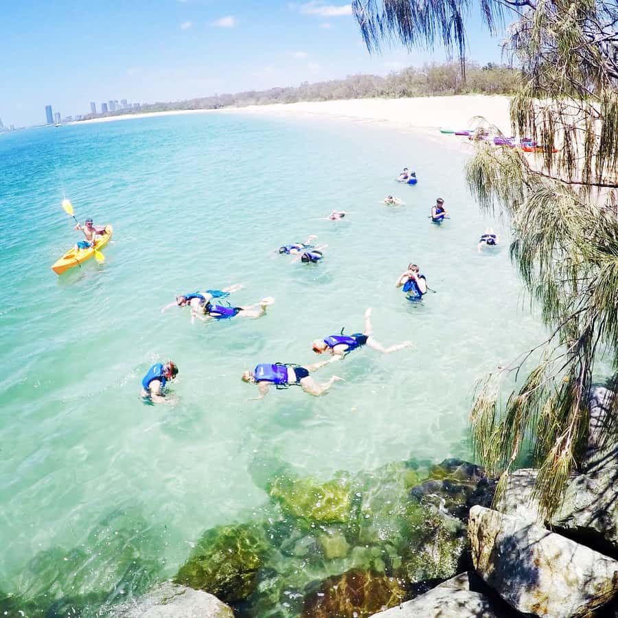 Gold Coast: Kayaking & Snorkelling Tour with Fish Feeding - Five details that shape the experience