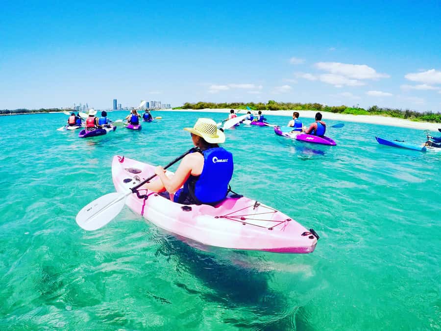 Gold Coast: Kayaking & Snorkelling Tour with Fish Feeding - Learning to paddle in a stable double kayak