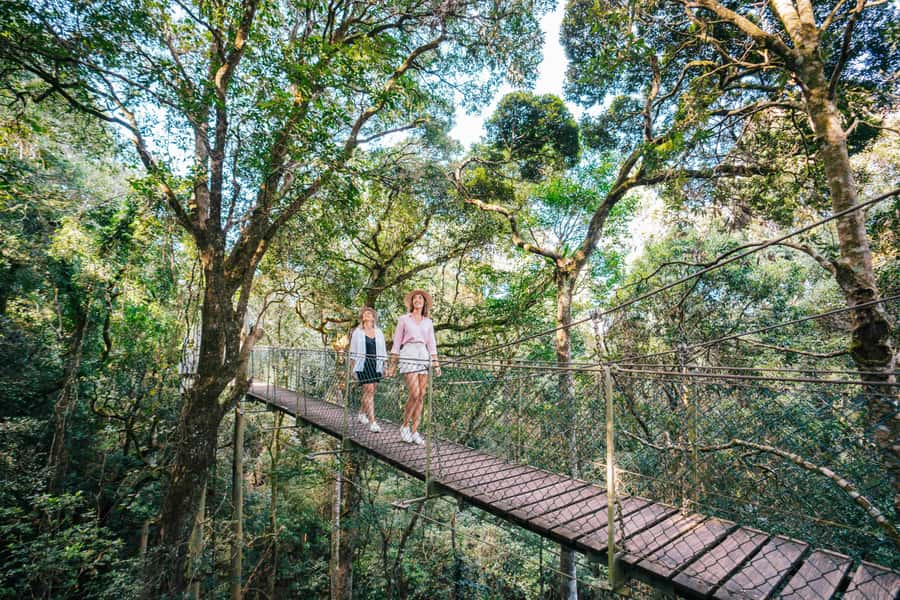 Gold Coast: Lamington Treetops, Wildlife and Vineyard Visit - Canungra Valley Vineyard beside the stream
