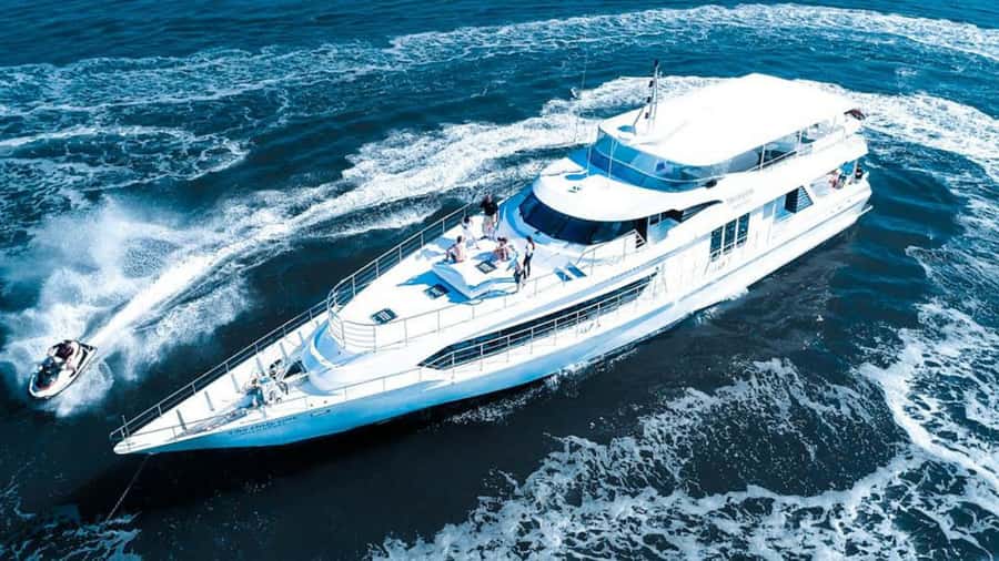 Gold Coast: Luxury Whale Watching Tour - What the 150-minute route feels like