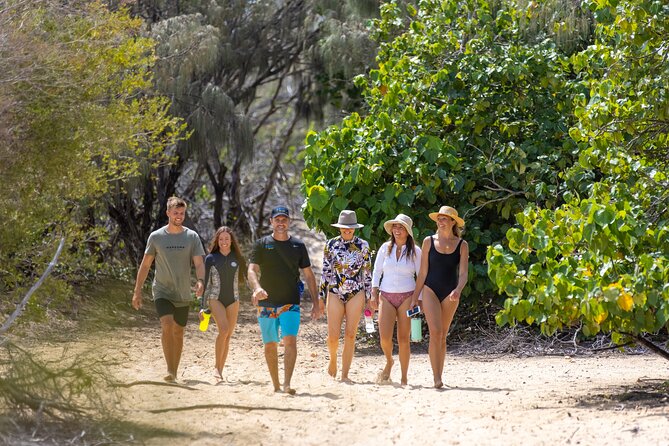 Gold Coast: Morning Kayak & Snorkel Adventure with Breakfast - South Stradbroke Island and its unusual wildlife