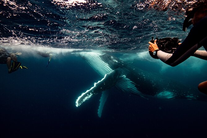 Gold Coast: Morning Kayak & Snorkel Adventure with Breakfast - Who should book this kayak morning?