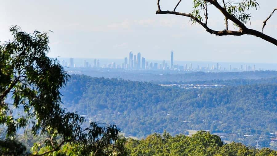 Gold Coast: Mount Tamborine Kangaroo and Koala Day Tour - What $84 includes and what it means