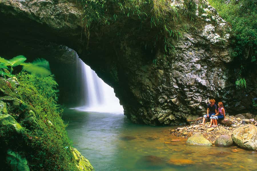 Gold Coast: Natural Bridge Glow Worm Night Tour - Key points to know before booking