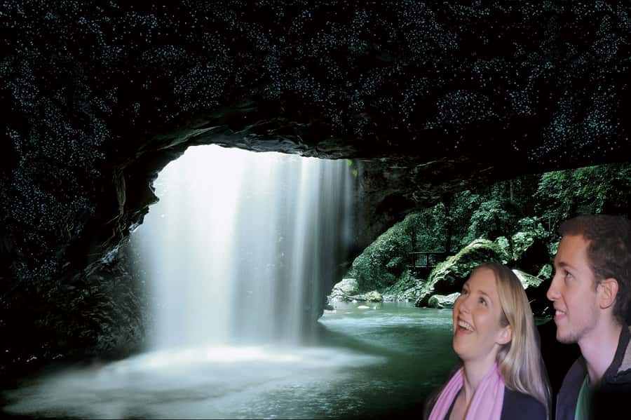 Gold Coast: Natural Bridge Glow Worm Night Tour - Why the Natural Bridge glow worms are worth seeing
