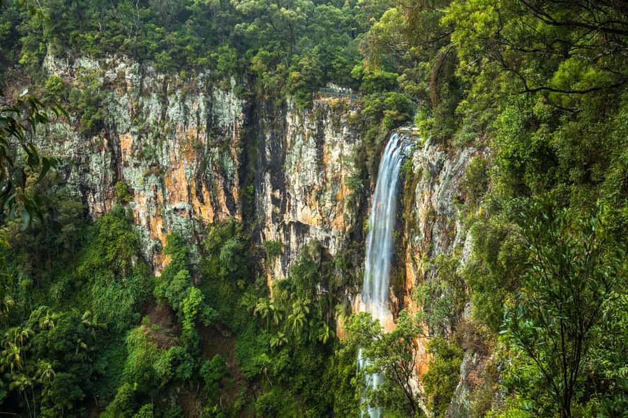 Gold Coast: Natural Bridge & Springbrook Waterfalls Tour - Key points at a glance