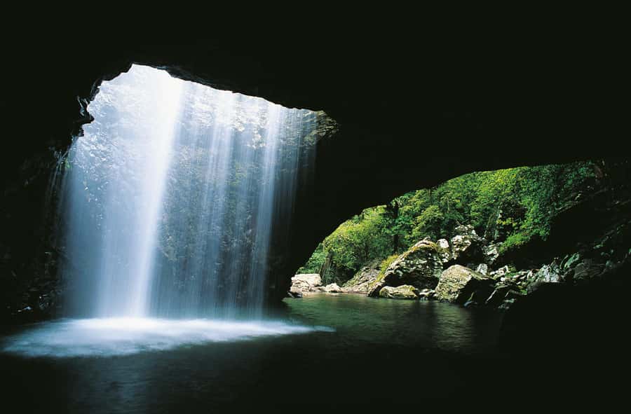 Gold Coast: Natural Bridge & Springbrook Waterfalls Tour - Leaving Surfers Paradise for the mountain forests