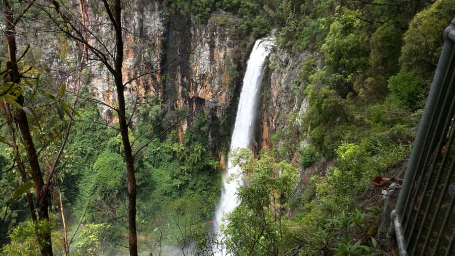 Gold Coast: Natural Bridge & Springbrook Waterfalls Tour - Natural Bridge is the tour’s most memorable stop