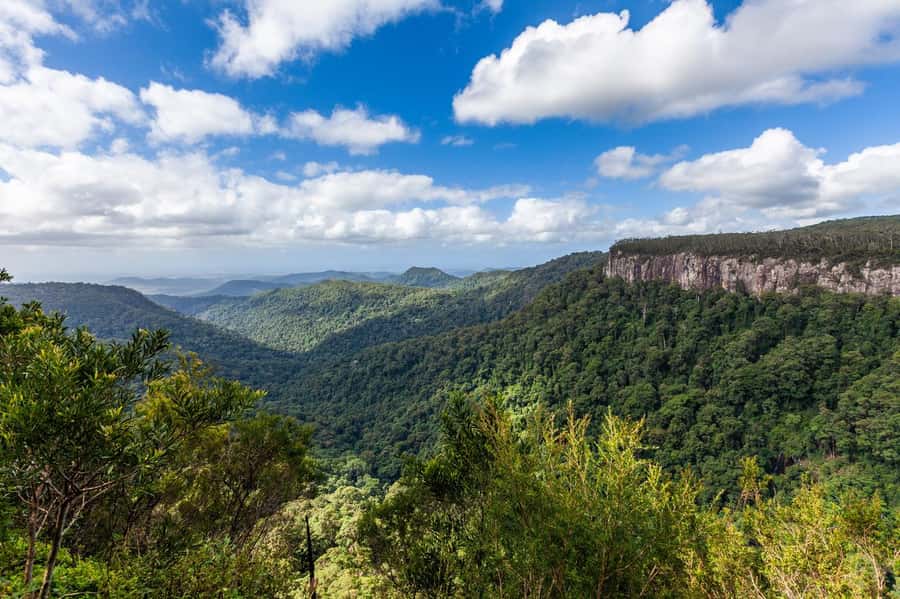 Gold Coast: Natural Bridge & Springbrook Waterfalls Tour - What the guides add to the day