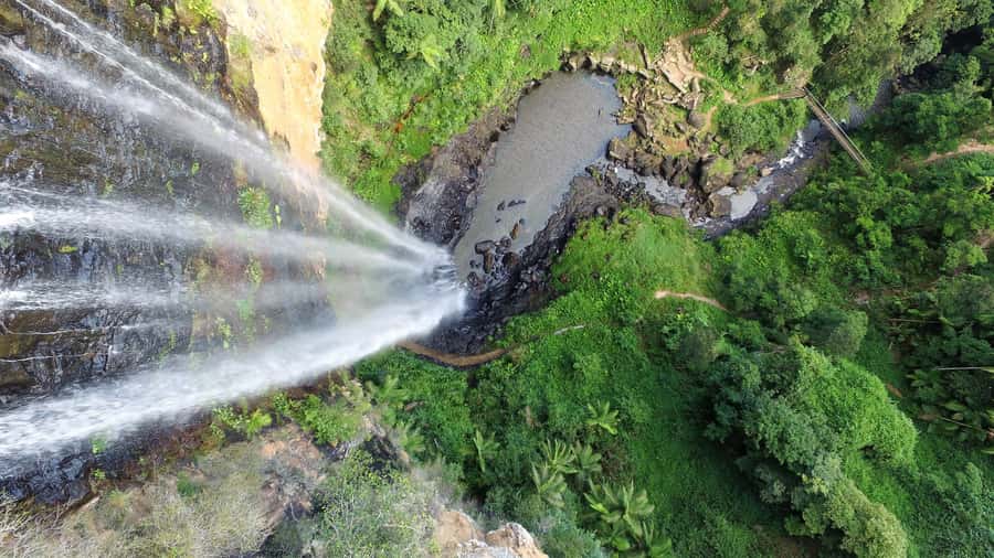 Gold Coast: Natural Bridge & Springbrook Waterfalls Tour - Weather, changes and cancellation details