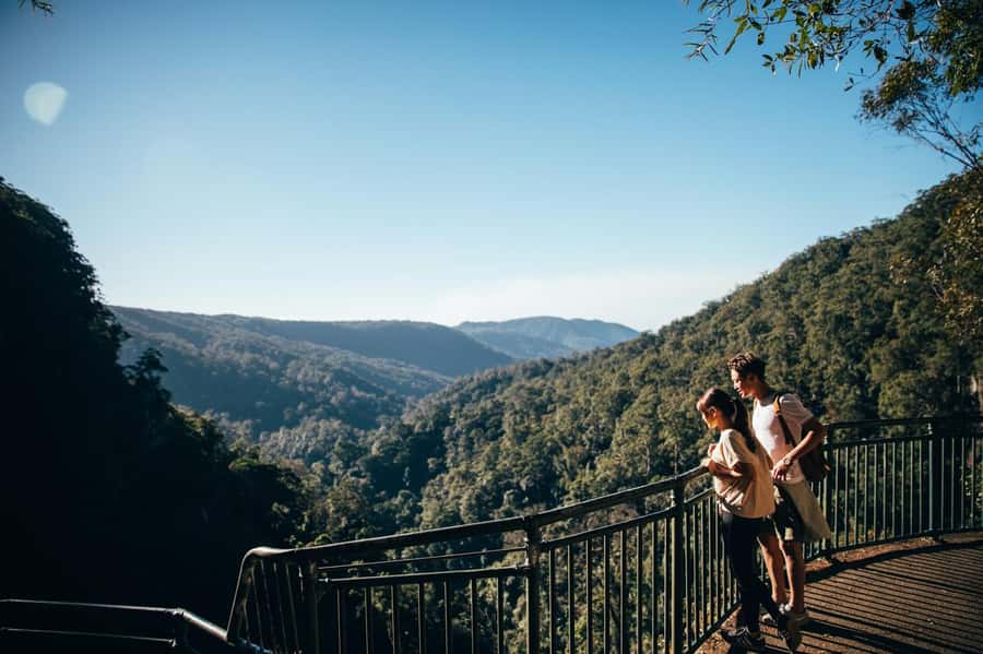 Gold Coast: Natural Bridge & Springbrook Waterfalls Tour - Hinze Dam offers a short pause