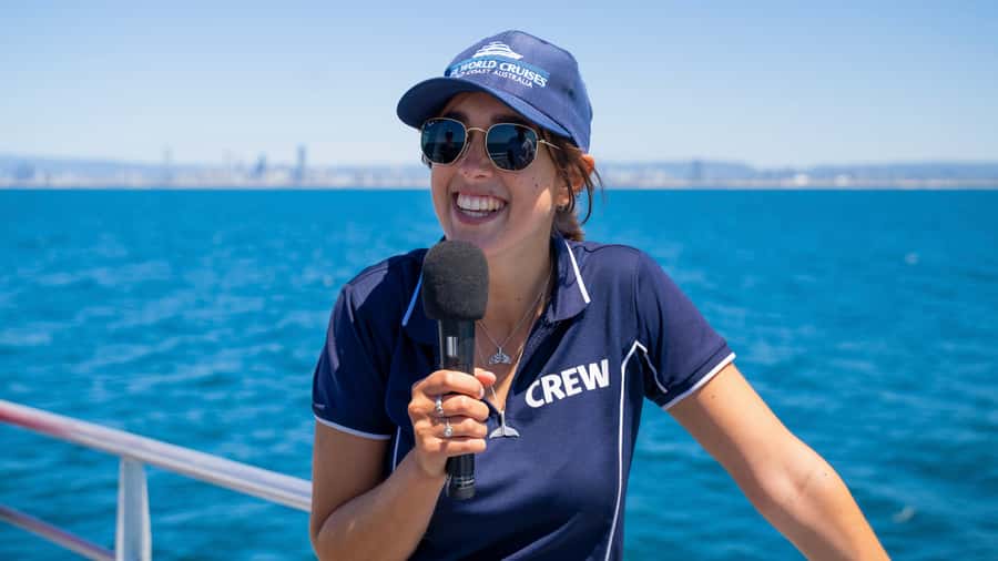 Gold Coast: Premium Whale Watching Cruise - Hearing whale song below the surface