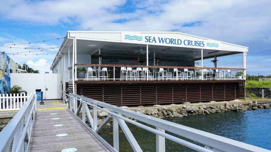 Gold Coast: Premium Whale Watching Cruise - Is the $63 price good value?