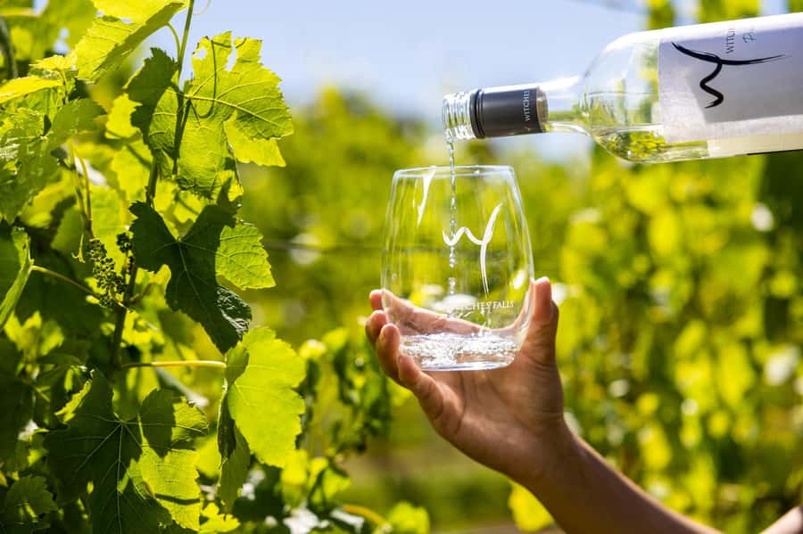 Gold Coast: Premium Wine Tour with Gourmet Lunch - The guides shape the day