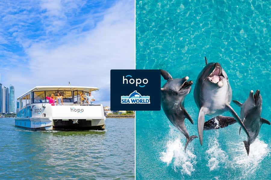 Gold Coast: Sea World Cruise & Entry Combo Ticket - Key points to know before booking
