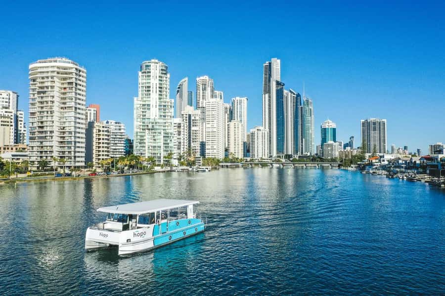Gold Coast: Sea World Cruise & Entry Combo Ticket - Who will enjoy this combo most?