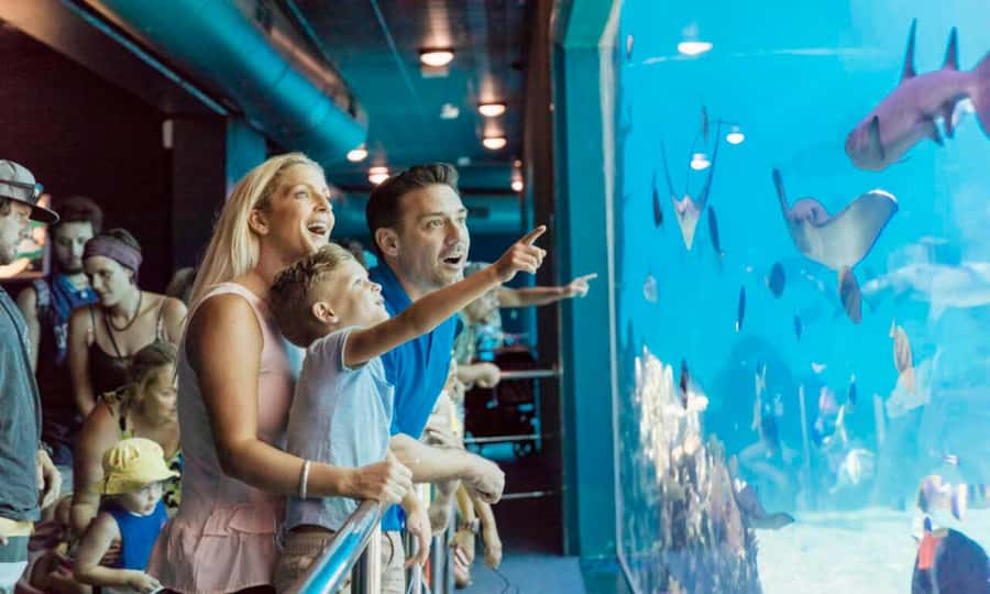Gold Coast: Sea World Cruise & Entry Combo Ticket - Your seven hours inside Sea World