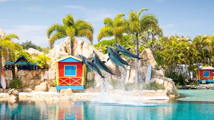 Gold Coast: Sightseeing Hop-on Hop-off Cruise - Broadwater Parklands: space to slow down
