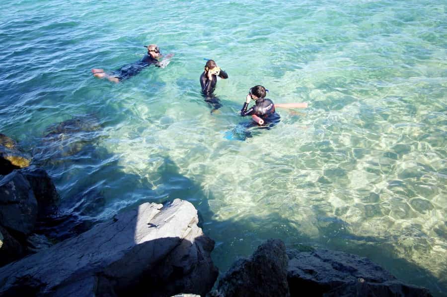 Gold Coast: Snorkelling in Wave Break Island - The boat ride from the Gold Coast