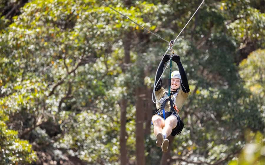 Gold Coast: Tamborine Mountain Canyon Flyer Zipline Tour - Two plank bridges before the main flight