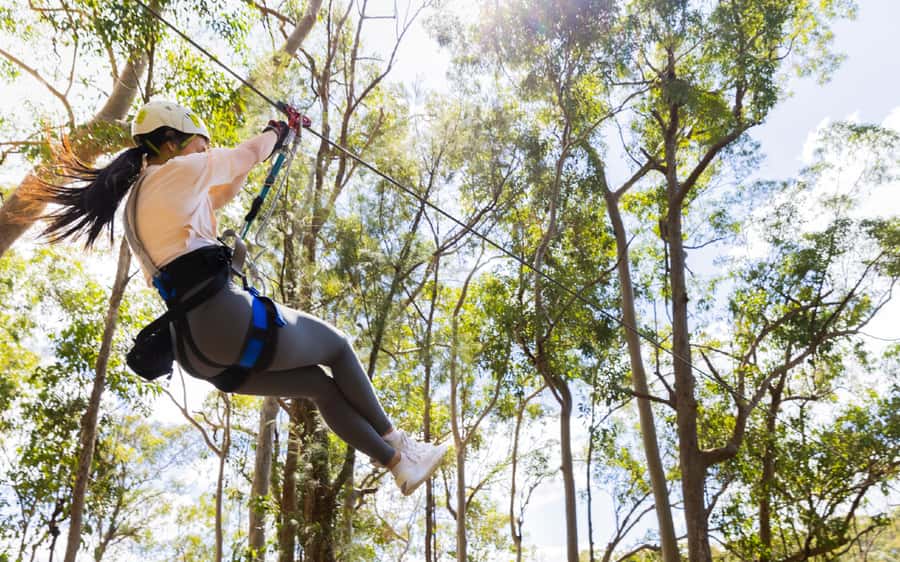 Gold Coast: Tamborine Mountain Canyon Flyer Zipline Tour - How physical is the Canyon Flyer?