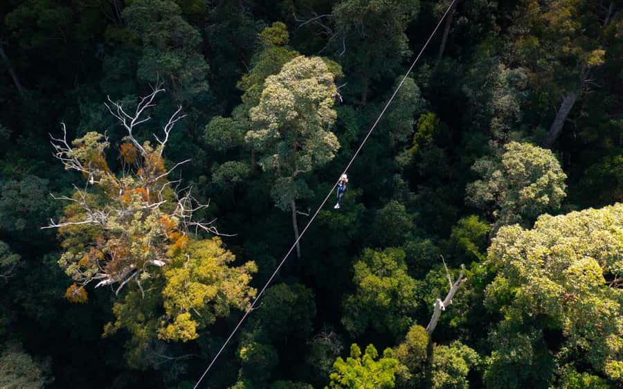 Gold Coast: Tamborine Mountain Canyon Flyer Zipline Tour - Getting to Thunderbird Park from the Gold Coast or Brisbane