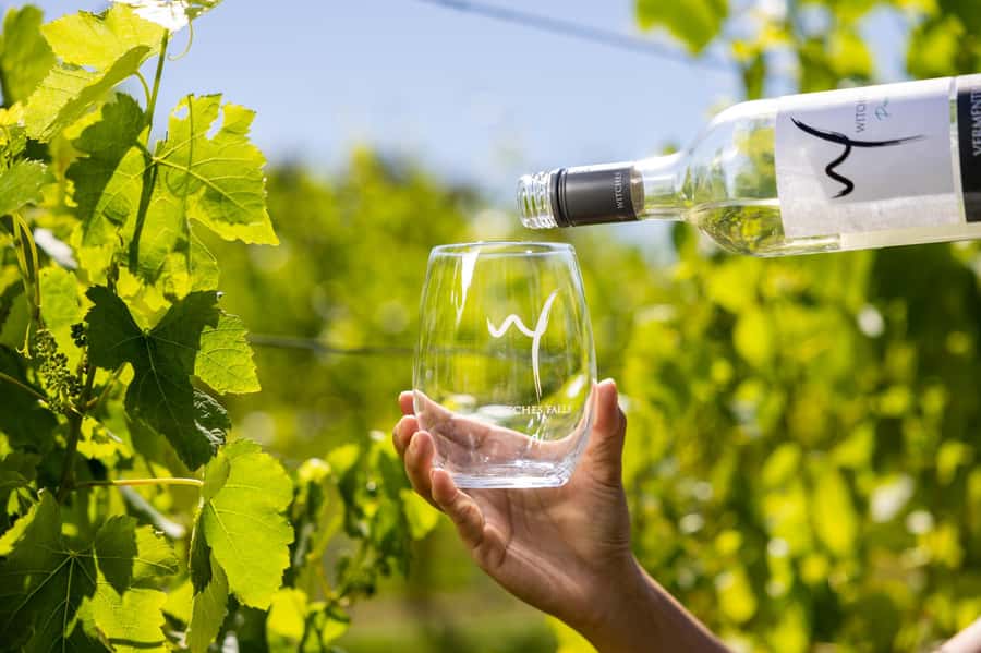 Gold Coast: Tamborine Mountain Local Winery Tour with Lunch - What happens on Mondays and Tuesdays