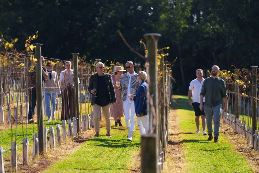 Gold Coast: Tamborine Mountain Wine Tour - Should you book the Tamborine Mountain wine tour?
