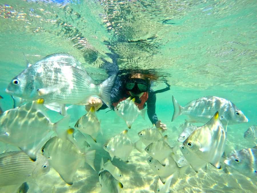 Gold Coast: Wave Break Island Kayaking & Snorkeling tour - A quiet start at Biggera Waters