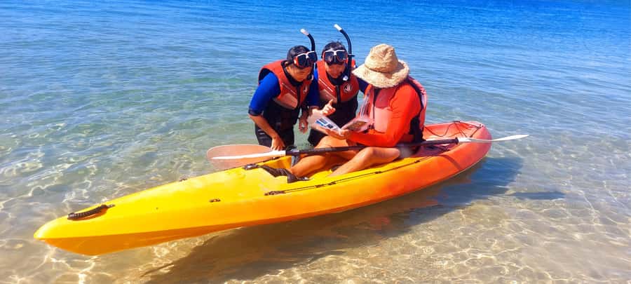 Gold Coast: Wave Break Island Kayaking & Snorkeling tour - Crossing Wave Break Island on foot