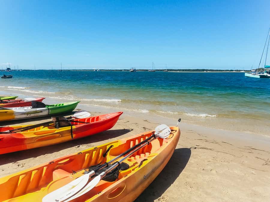 Gold Coast: Wave Break Island Kayaking & Snorkeling tour - Who will enjoy this Gold Coast outing?