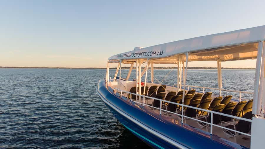 Gold Coast Whale Experience - Comfort, clothing, and seasickness