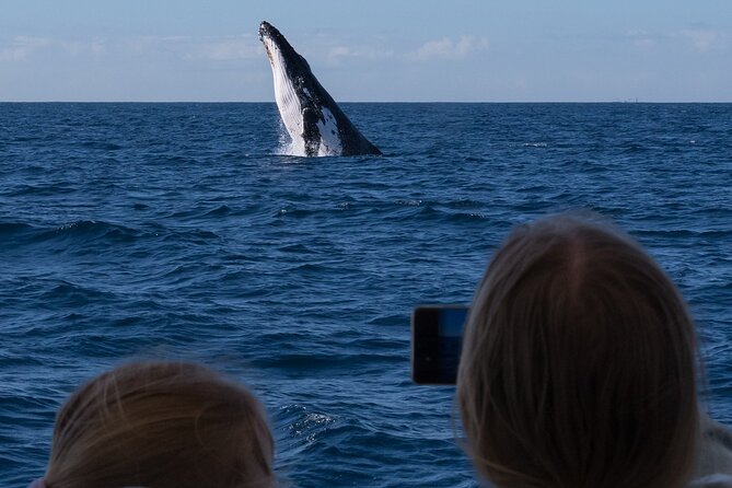 Gold Coast Whale Watching Cruise - Reaching the Gold Coast Whale Highway from Main Beach