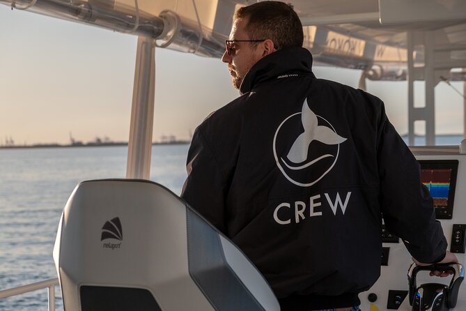 Gold Coast Whale Watching Cruise - Picking the right time and managing expectations