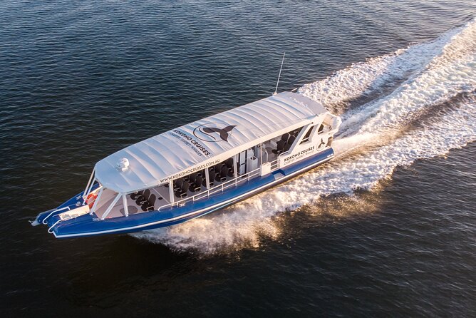 Gold Coast Whale Watching Cruise - Who will enjoy Kokomo Cruises most