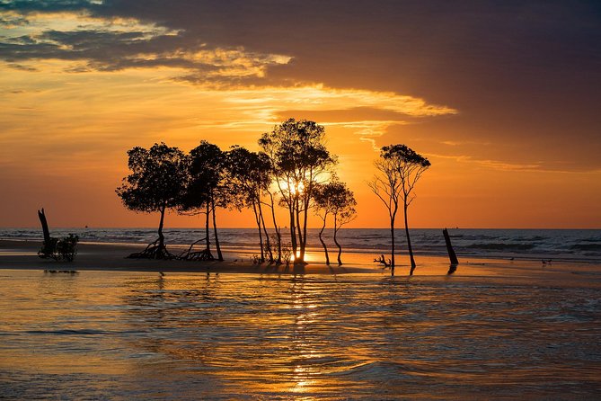 Golden Eye Sunset Jet Skiing in Darwin - Music, soft drinks, and the social side