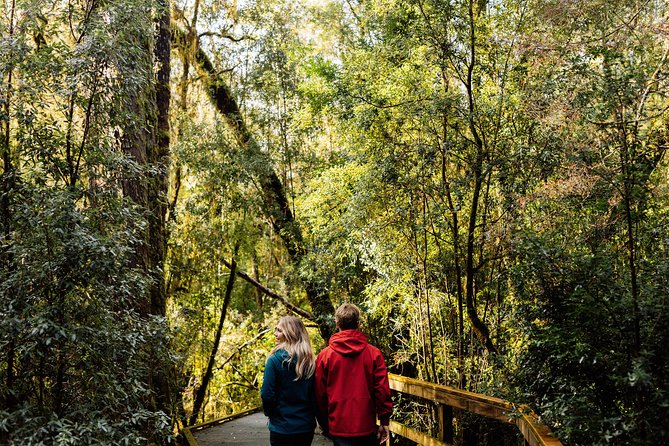 Gordon River Cruise departing from Strahan - Choosing a deck and judging the $111.17 price