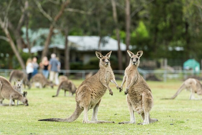 Grampians National Park Small-Group Eco Tour from Melbourne - The Grand Canyon circuit is short but not effortless
