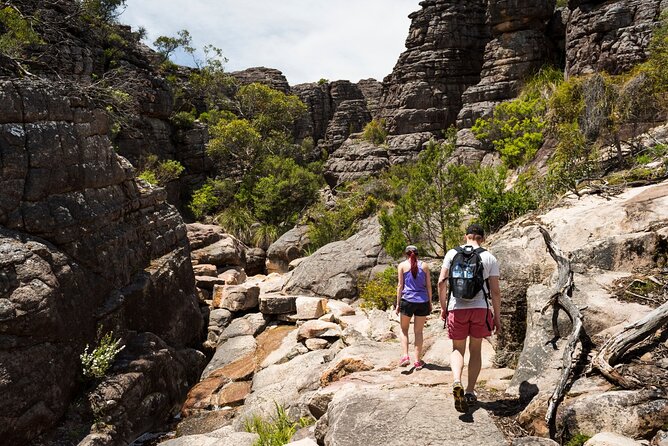 Grampians National Park Small-Group Eco Tour from Melbourne - Halls Gap: lunch and kangaroo country