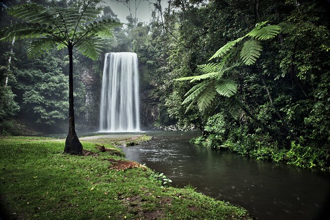 Grand Kuranda including Skyrail and Kuranda Scenic Railway - Pamagirri activities add cultural context