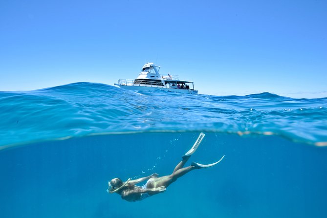 Great Barrier Reef Cruise from Townsville or Magnetic Island - Key points to know before booking